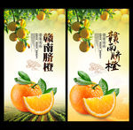 橙子