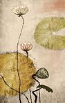 玉雕荷花玄关装饰画