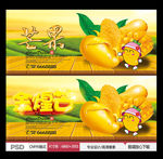 芒果 金煌芒