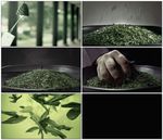 手抓茶叶