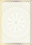 浅啡金 证件纹