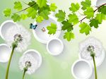 树叶蒲公英