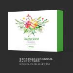 圣诞节高档礼品包装盒设计