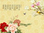 玉兰牡丹花