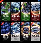 蓝莓