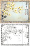 玉兰