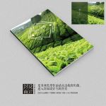 绿色茶叶种植宣传画册封面