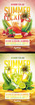 夏天聚会野餐宣传海报