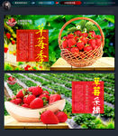 草莓