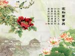 家和万事兴牡丹花