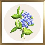 挂画