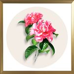 挂画