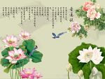 牡丹荷花图