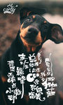 狗海报