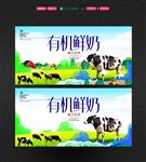 有机牛奶