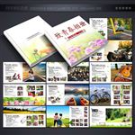 致青春