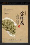 金银花