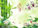 家和富贵竹子荷花