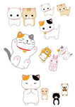 可爱猫