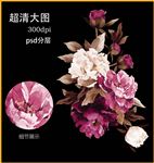 花卉