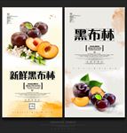 黑布林