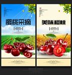 樱桃