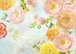 花朵