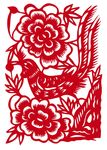 长尾鸟