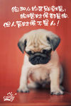 狗
