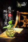 想念