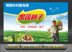蔬菜种子