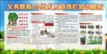 义务教育