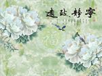 宁静致远牡丹花