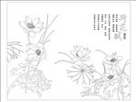 荷花赋