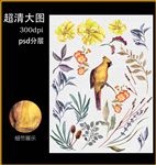 水彩植物花鸟