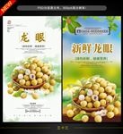 龙眼