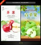苹果