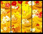 金色荷花