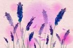 花卉背景墙