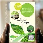 哑面名片PVC名片茶叶名片