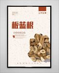 板蓝根
