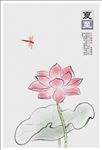 夏至