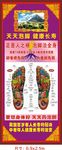 藏药浴足宣传