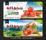西红柿番茄