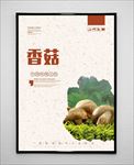 香菇