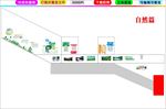 楼梯间文化自然篇效果图科学知识