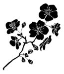 梅花矢量图