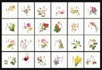 二十四节气