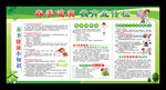 最新春季健康教育宣传栏