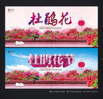 杜鹃花
